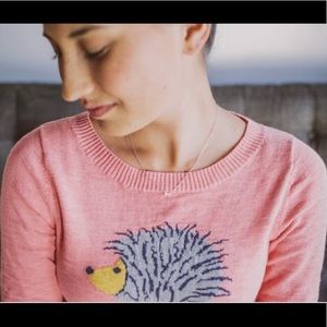 Hedgehog sweater